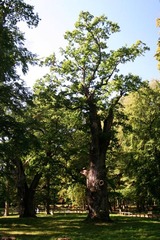 Killikus&reg; Fotographie